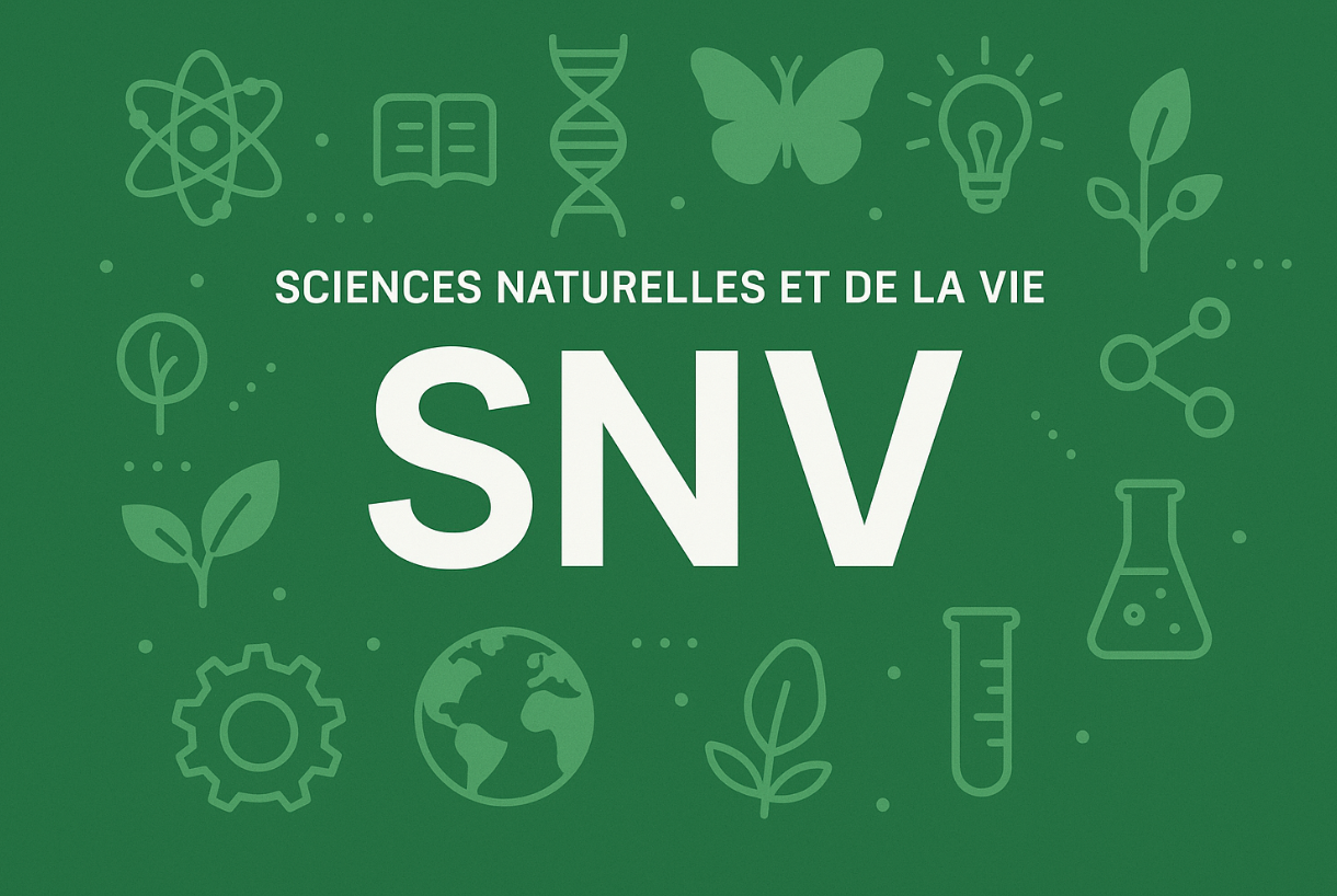 slideshow banner