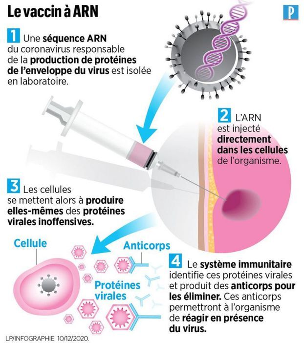 ARN messager (COVID-19) vaccin